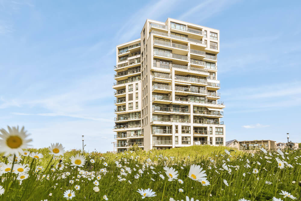 קניית דירה מקבלן בראשון לציון